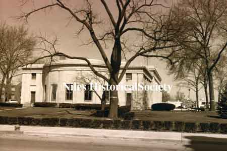 The black walnut tree as it stands today(2019) on the McKinley Memorial grounds.