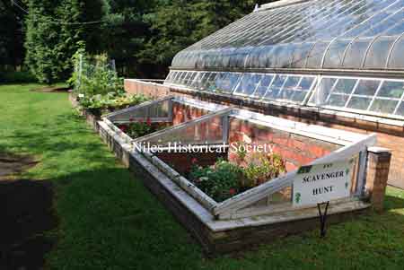 Hot beds of Greenhouse.