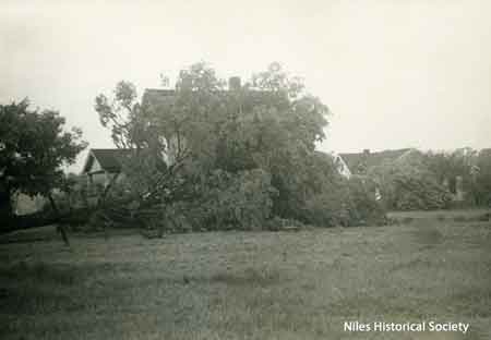 Storm damage