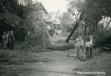 Storm damage
