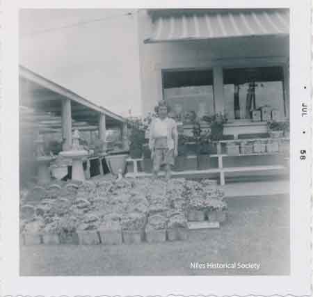 Phyllis Blott Bako in front of flower baskets and statuary for sale at Blott's Farm Market.