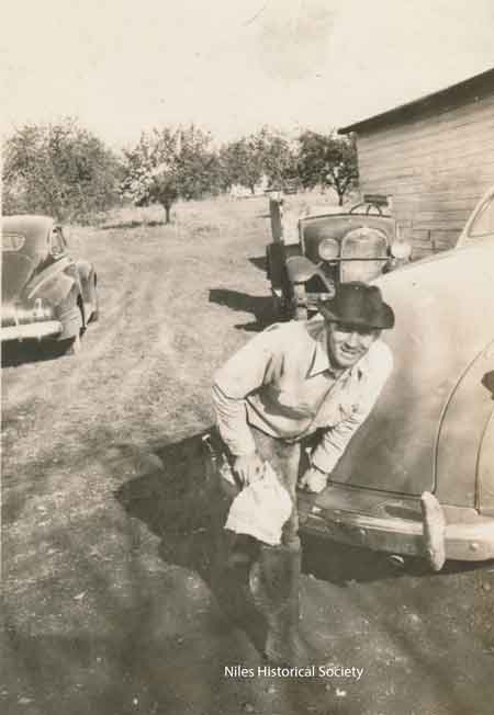 Phyllis' dad cleaning his boots after working in the barn. In the background is the Blott apple orchard which provided fruit for sale at the market. The car beside him is a 1941 Plymouth and older cars behind him are not identified.