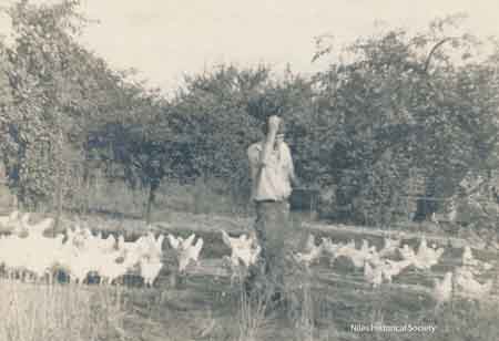 Phyllis's Dad feeding the chickens