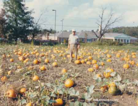 Pumpkin patch provided