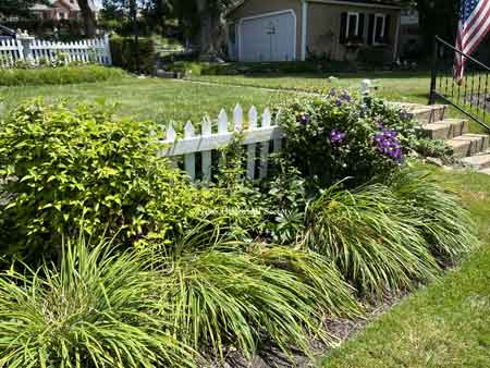 Lower level garden area.