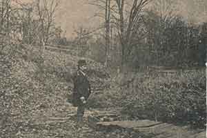 Salt Springs History