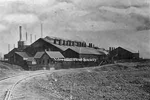 12 Important Industries 1900-1920