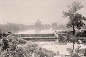 Niles: First 100 Years